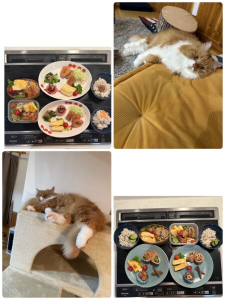 2025,3のお昼ご飯🍚