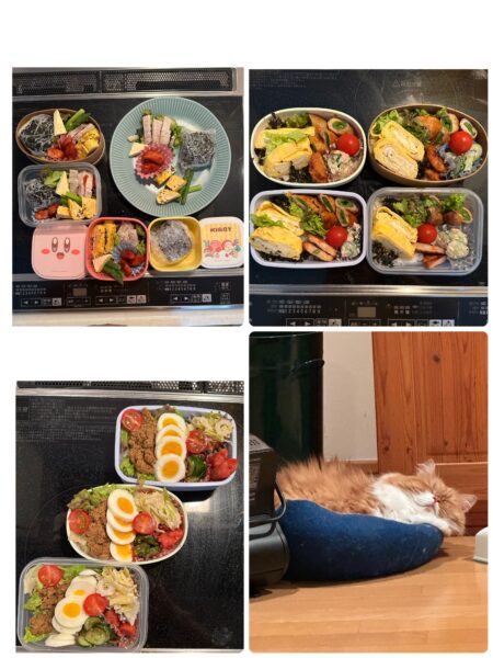 お弁当再開