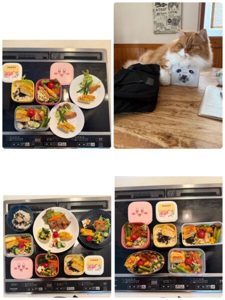 今週のお昼ご飯🍚